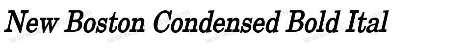 New Boston Condensed Bold Italic字体转换